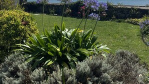 A garden with a view of the sea, featuring various plants and flowers. - The bookstore, beachfront house facing Tatihou island, feet in the water ! (Reville)