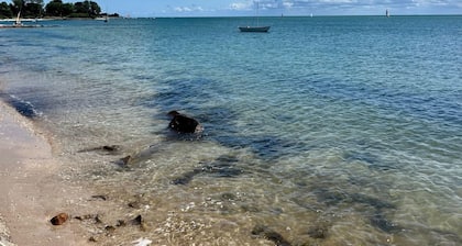 The bookstore, beachfront house facing Tatihou island, feet in the water !