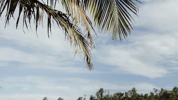 A couple holding hands on a sandy beach with a body of water and trees in the background.