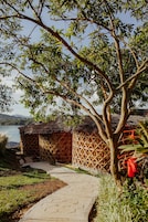 A pathway leading to a thatched-roof structure surrounded by lush greenery and a tree.