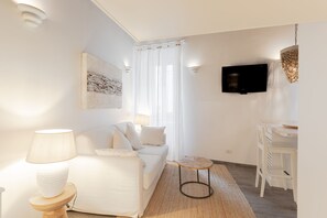 Luxury Apartment