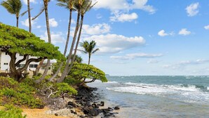 A coastal hotel with a rocky shoreline, palm trees, and ocean views. - 1 Bedroom Condo :: Oceanfront Resort Kapaa Shore (Kauai)
