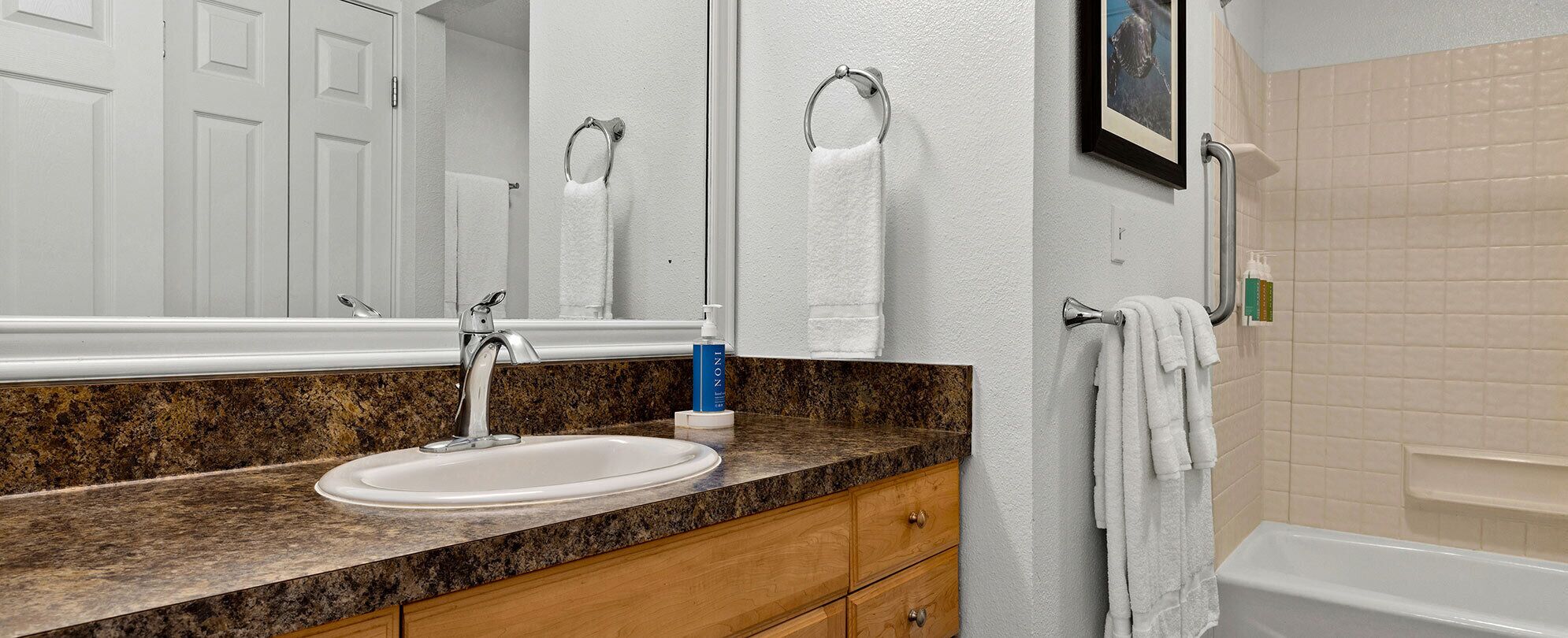 Hair dryer, towels, soap, shampoo