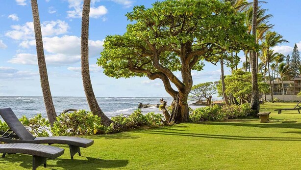 A coastal resort with two lounge chairs, a large tree, and a view of the ocean. - 1 Bedroom Condo :: Oceanfront Resort Kapaa Shore (Kauai)