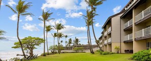 Property grounds - 1 Bedroom Condo :: Oceanfront Resort Kapaa Shore (Kauai)