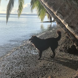 On the beach, black sand