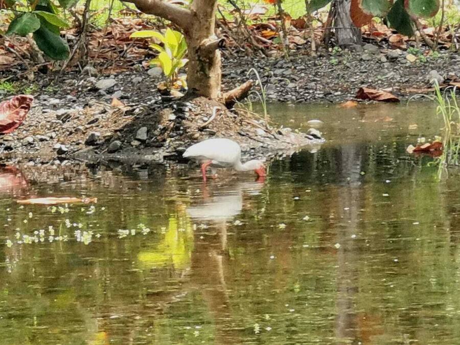 On the beach, black sand