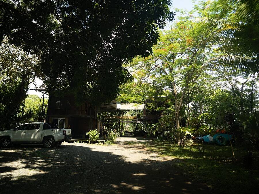 A white pickup truck parked in a shaded area with a gravel path leading to a building.