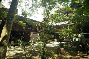 Ảnh chưa phân loại, 3 trong số 81 ảnh, nút