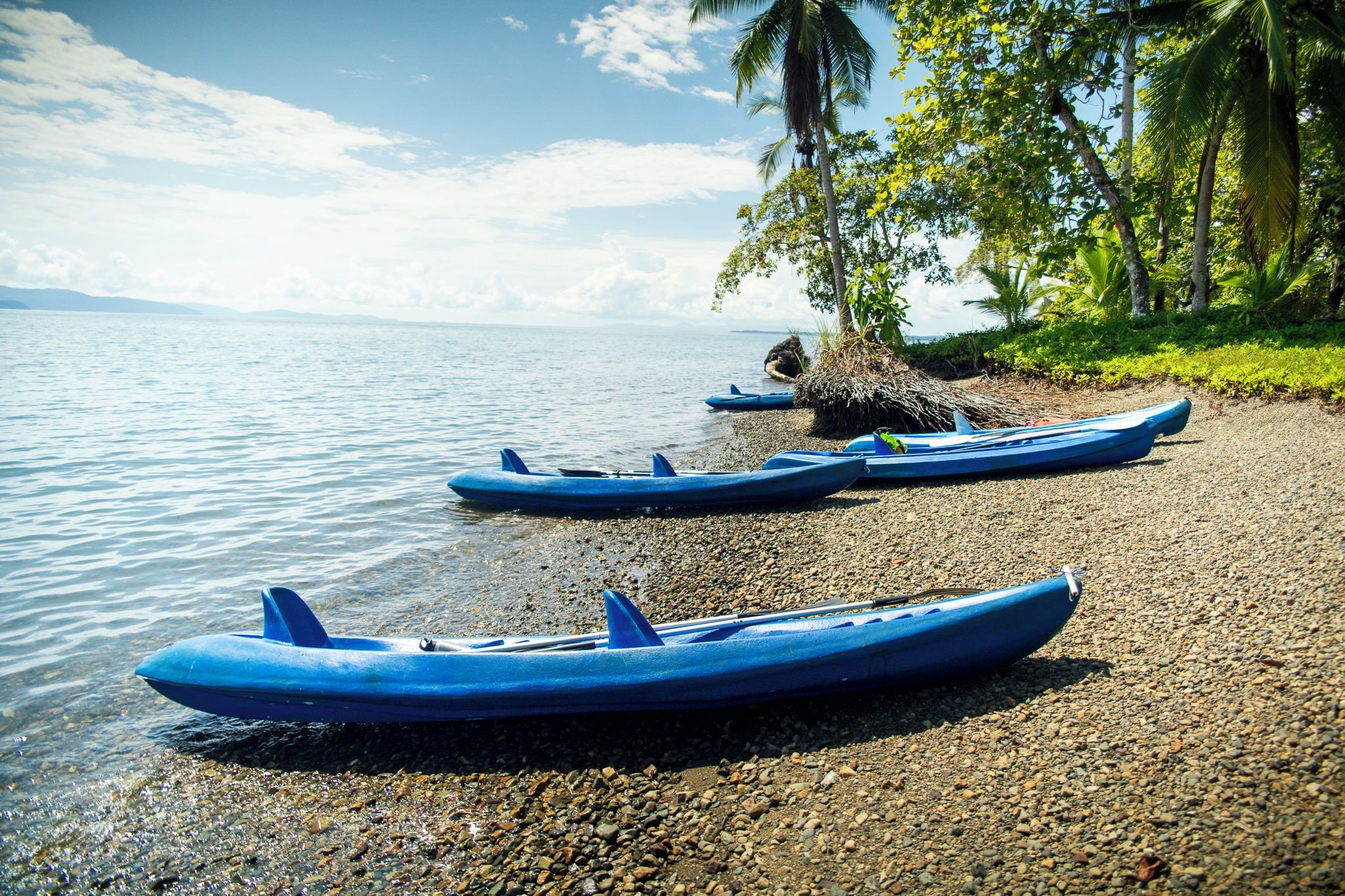Two blue kayaks on a pebbled beach with palm trees and a calm body of water in the background.