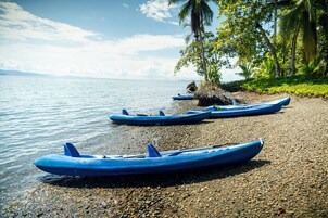 Two blue kayaks on a pebbled beach with palm trees and a calm body of water in the background.