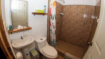 Un baño con inodoro, lavamanos, ducha y espejo.