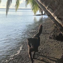 On the beach, black sand