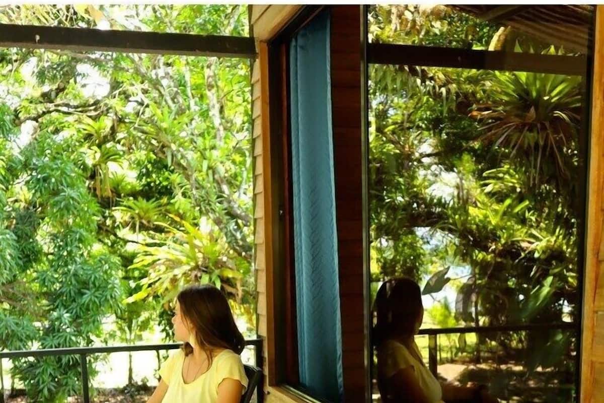 A person sitting on a wooden bench with a view of lush greenery through a window.