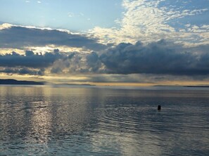 A calm body of water with a person swimming, surrounded by a cloudy sky and distant landforms. - Terrazas del Golfo  (Puerto Jiménez)