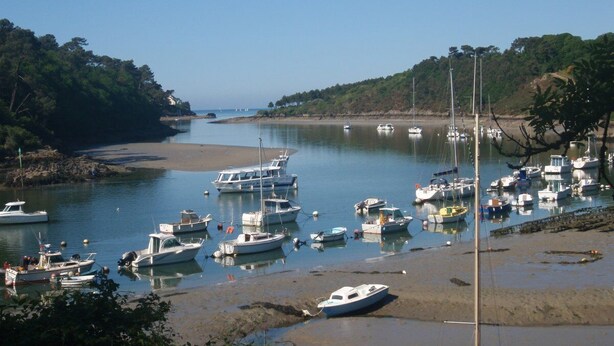 Una marina con barcos amarrados a lo largo de la orilla, rodeada de árboles y un cielo despejado.