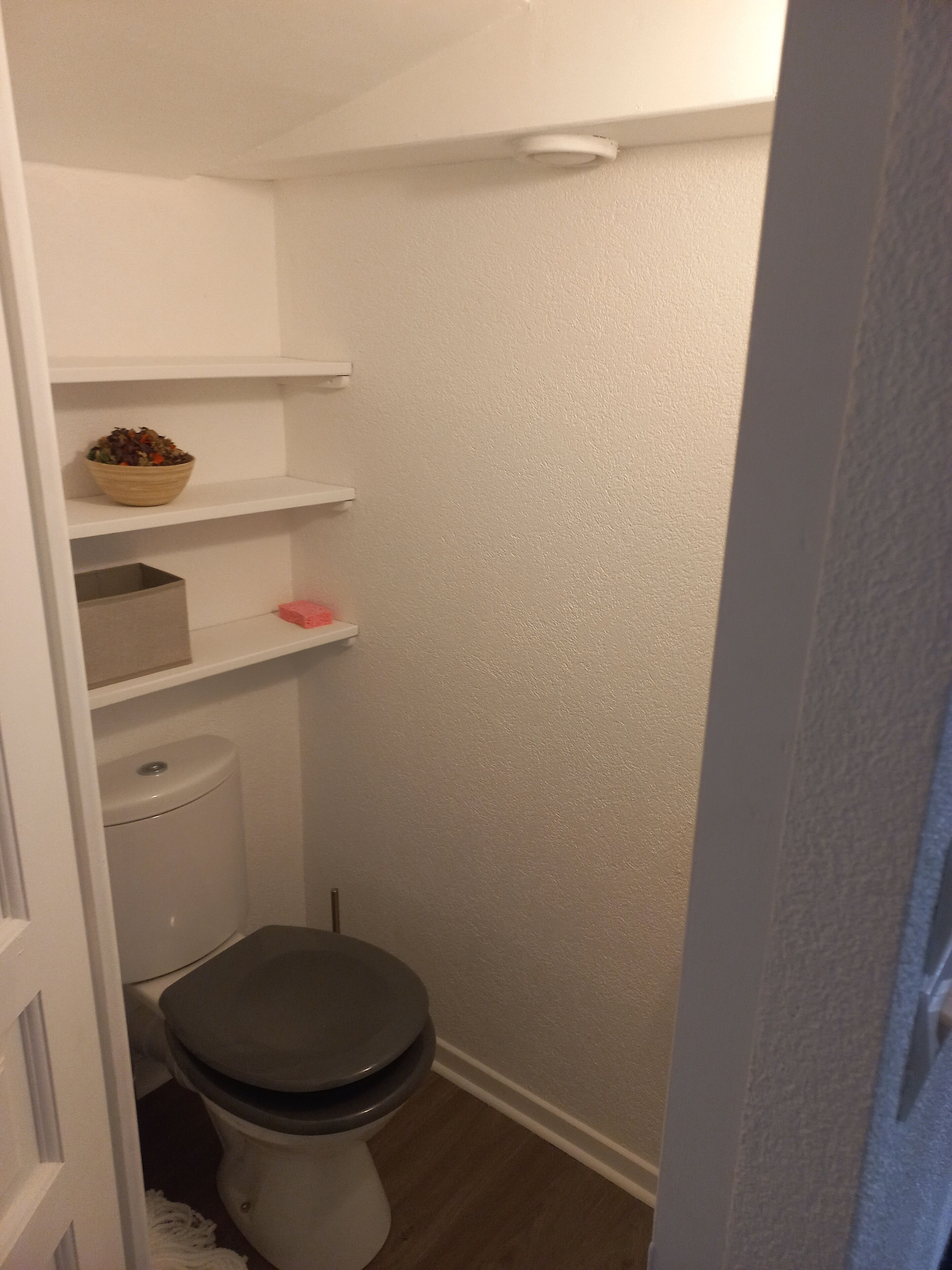 A small, compact bathroom with a toilet, a shelf with a bowl of fruit, and a white wall.