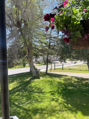 Property grounds - The Hitching Post Corrals come relax family friendly stay!!! Near Lava (Inkom)