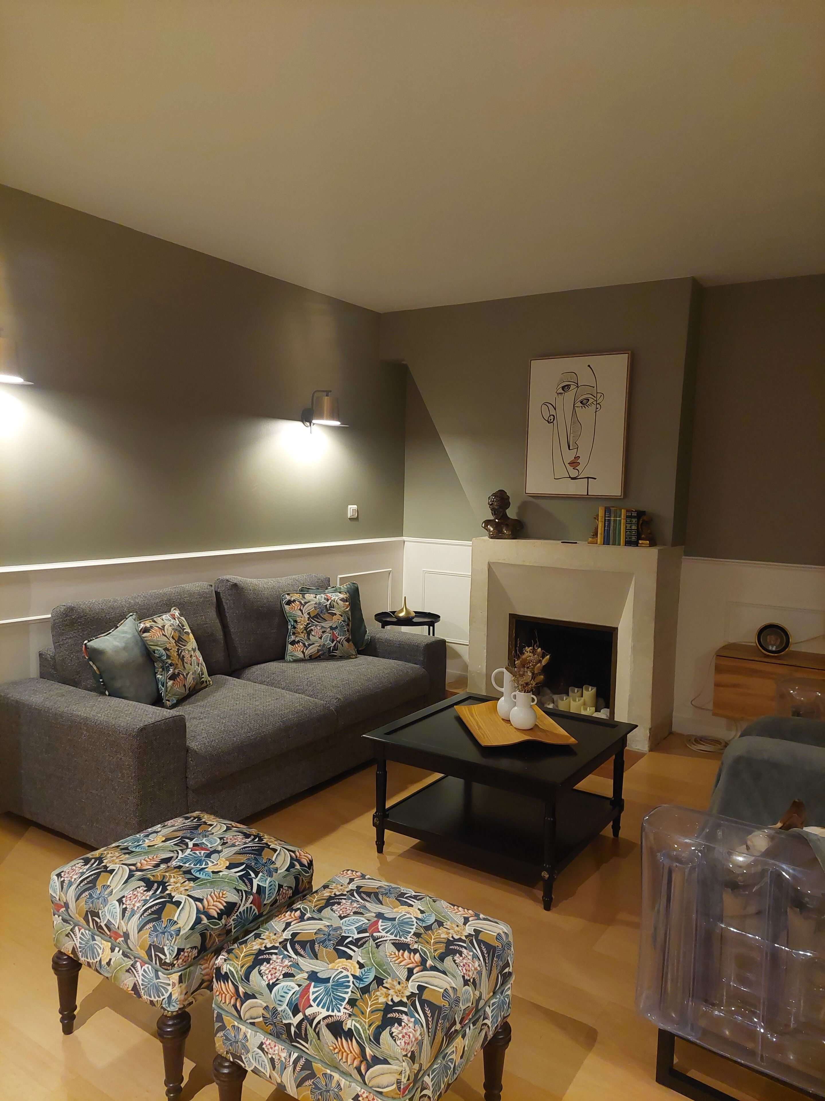 TV, fireplace, video games, books