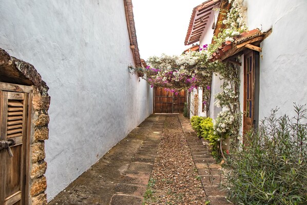 テラス / パティオ