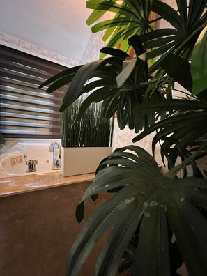 吹风机、毛巾、肥皂、洗发水