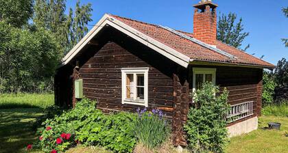 Pet friendly home in Tällberg