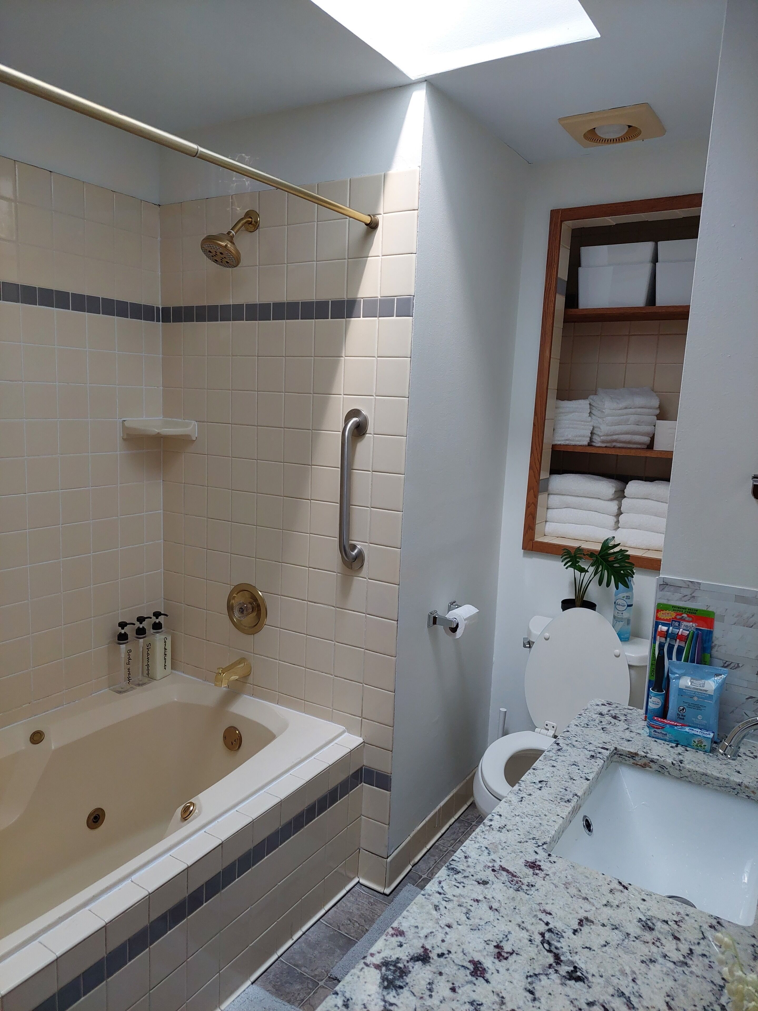 A modern bathroom with a walk-in shower, a bathtub, a toilet, and a sink.