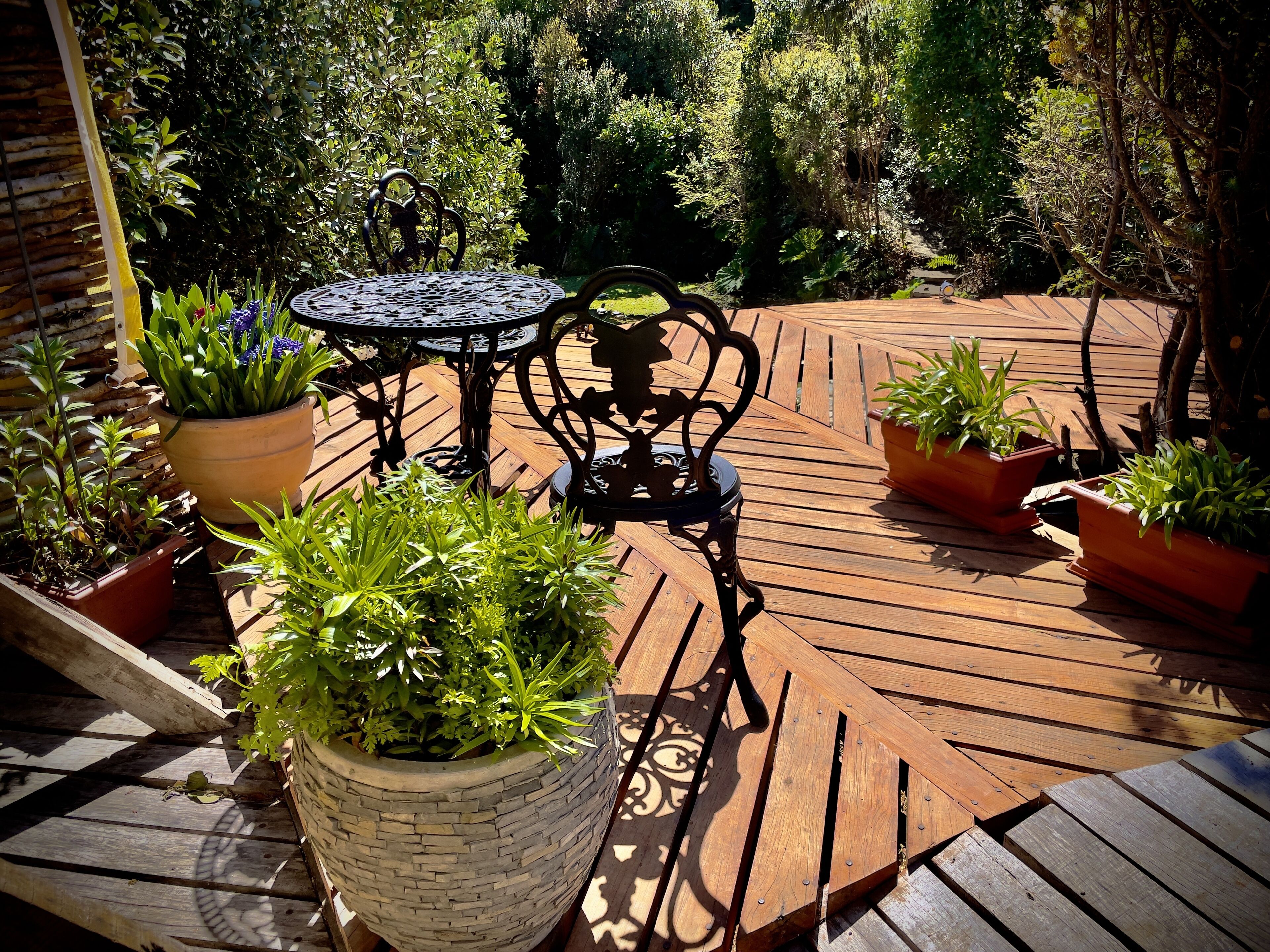 Opções para refeição ao ar livre