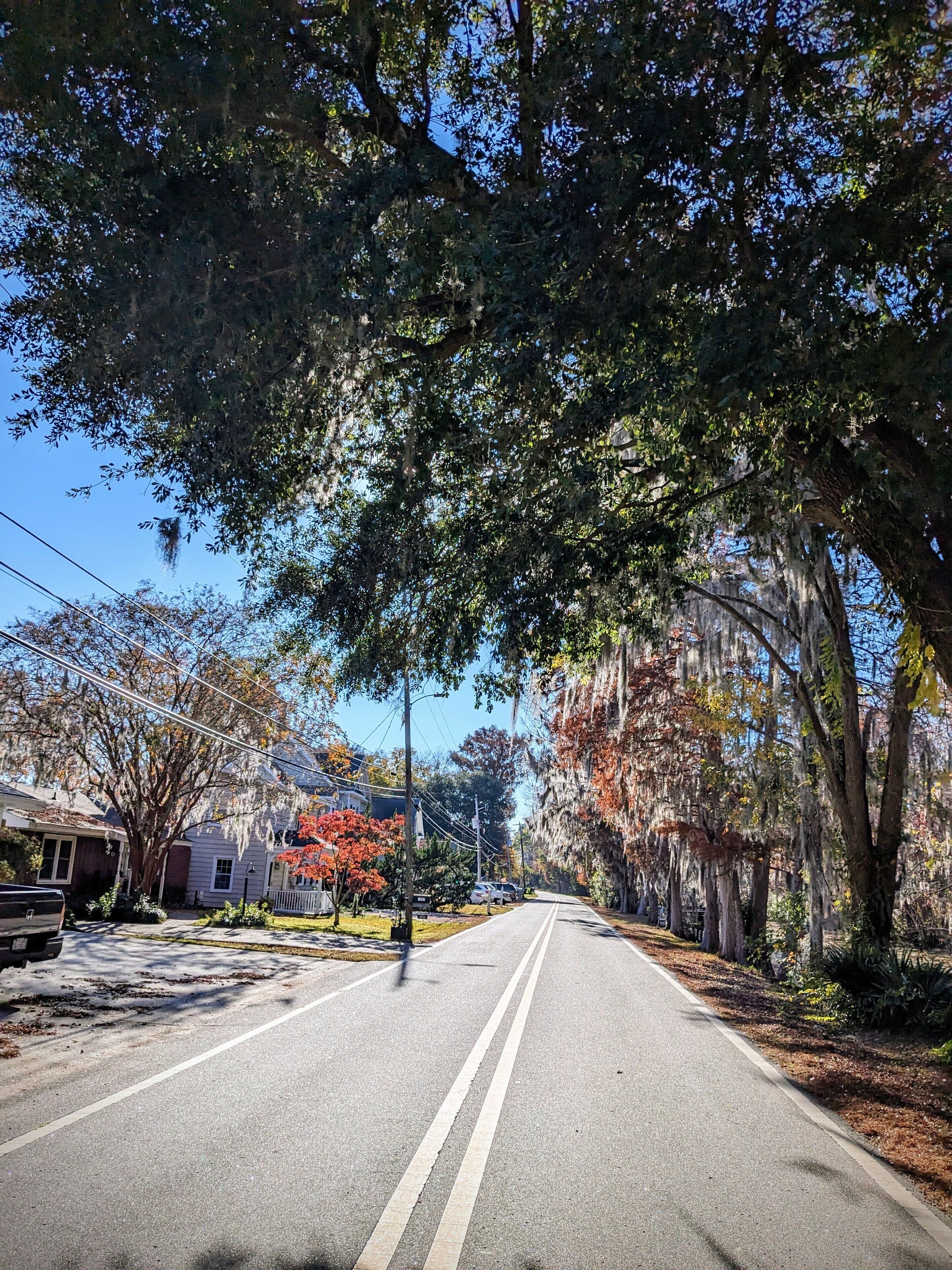 Una calle residencial bordeada de árboles y casas, con un camino despejado y aceras.