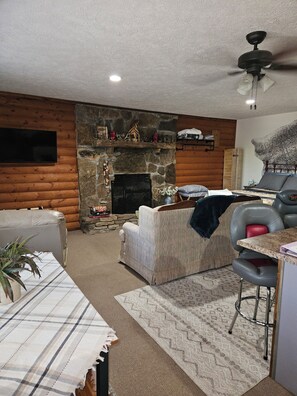 Interior - West Side Angler's Studio/Cabin close to Bull Shoals Lake (Theodosia)