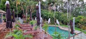 Outdoor pool - Healing Garden Cabins - Villa Ubud (Tallebudgera Valley)