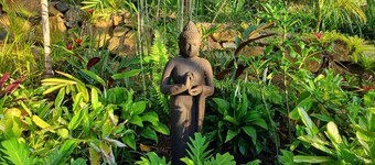 Healing Garden Cabins - Villa Ubud