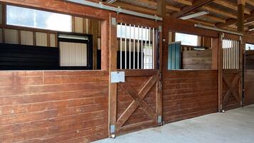 Terrain de l’hébergement