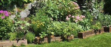 المنطقة المحيطة بالمنشأة