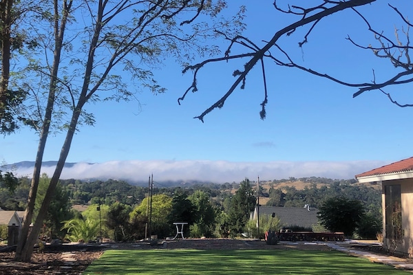 Área da propriedade