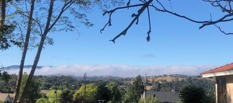 Relax and enjoy the peaceful oasis in beautiful central costal California 
