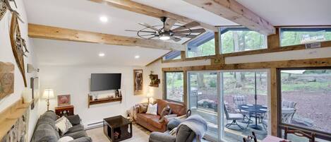 TV, caminetto, impianto stereo