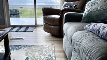 Smart TV, fireplace, books