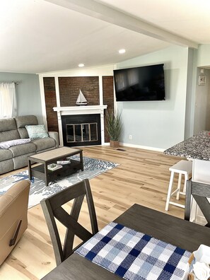 Smart TV, fireplace, books