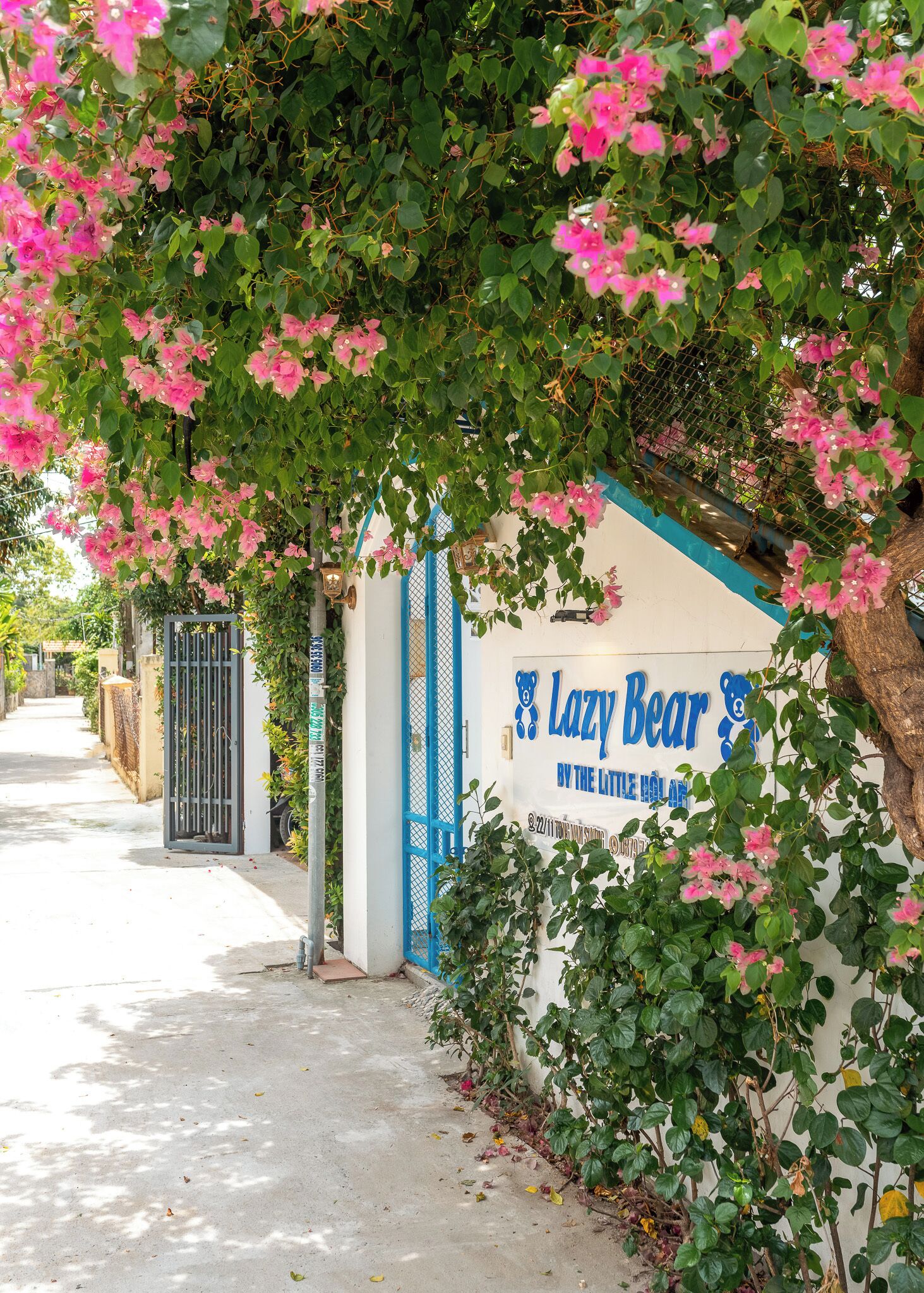 A pathway leading to a building with a sign reading 'Lazy Bear' and a blue gate.