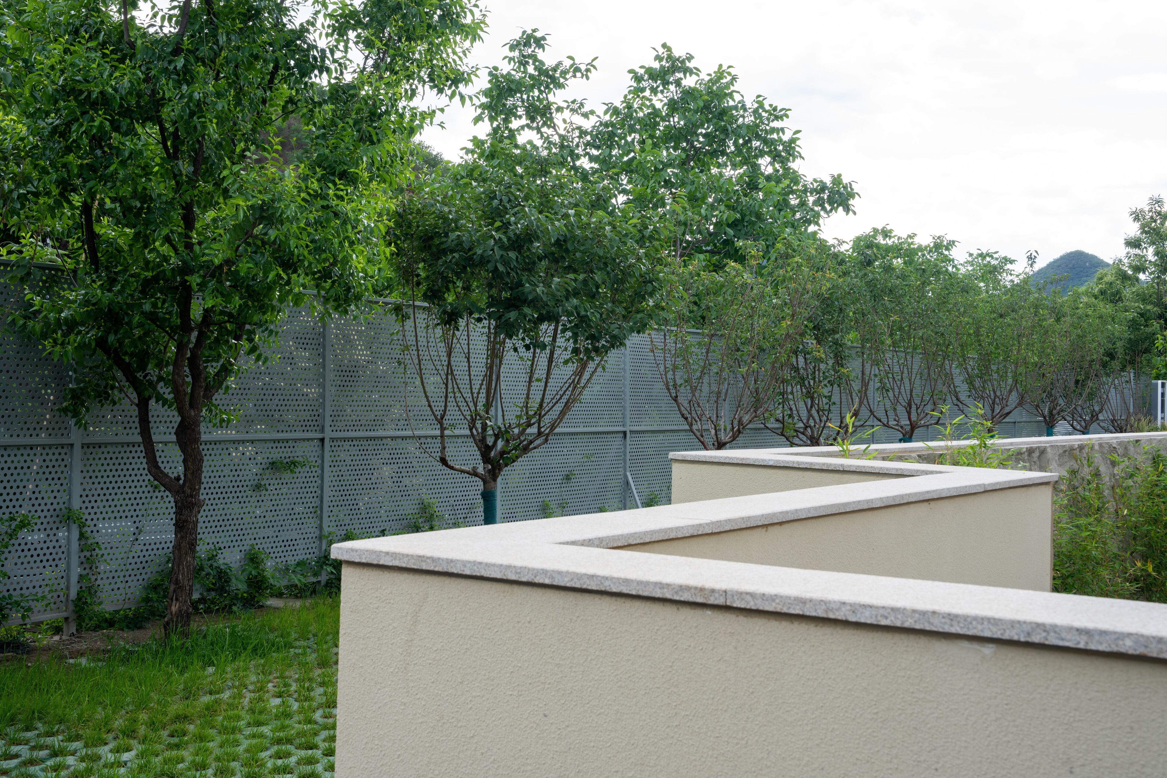 Un espacio exterior ajardinado con un muro bajo, una valla metálica y un árbol.