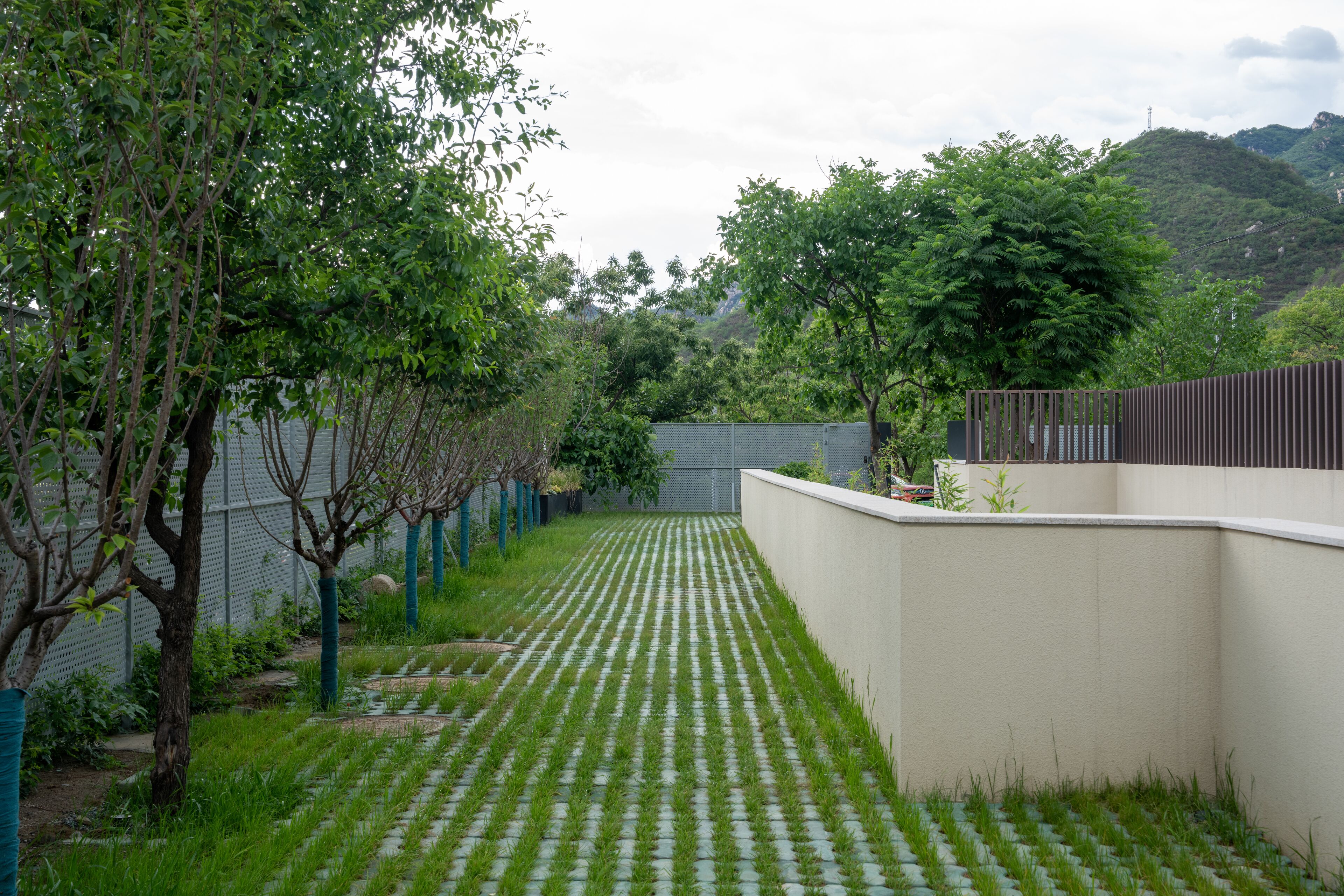 A pathway lined with grass and trees, leading to a building with a white wall and a fence.