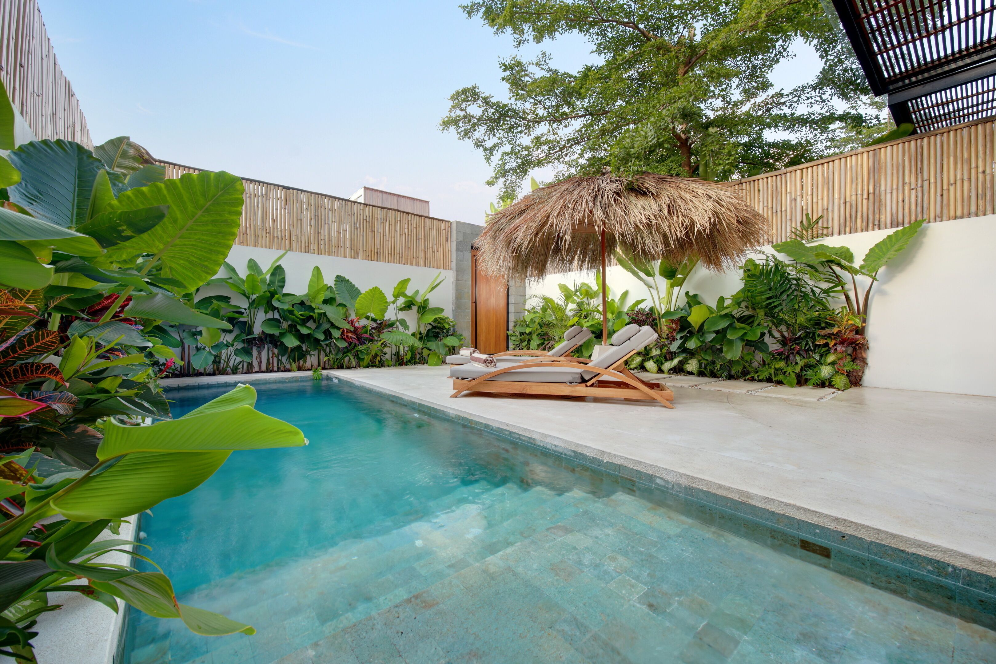 Una piscina con sillas de descanso, rodeada de plantas tropicales y una valla de madera.