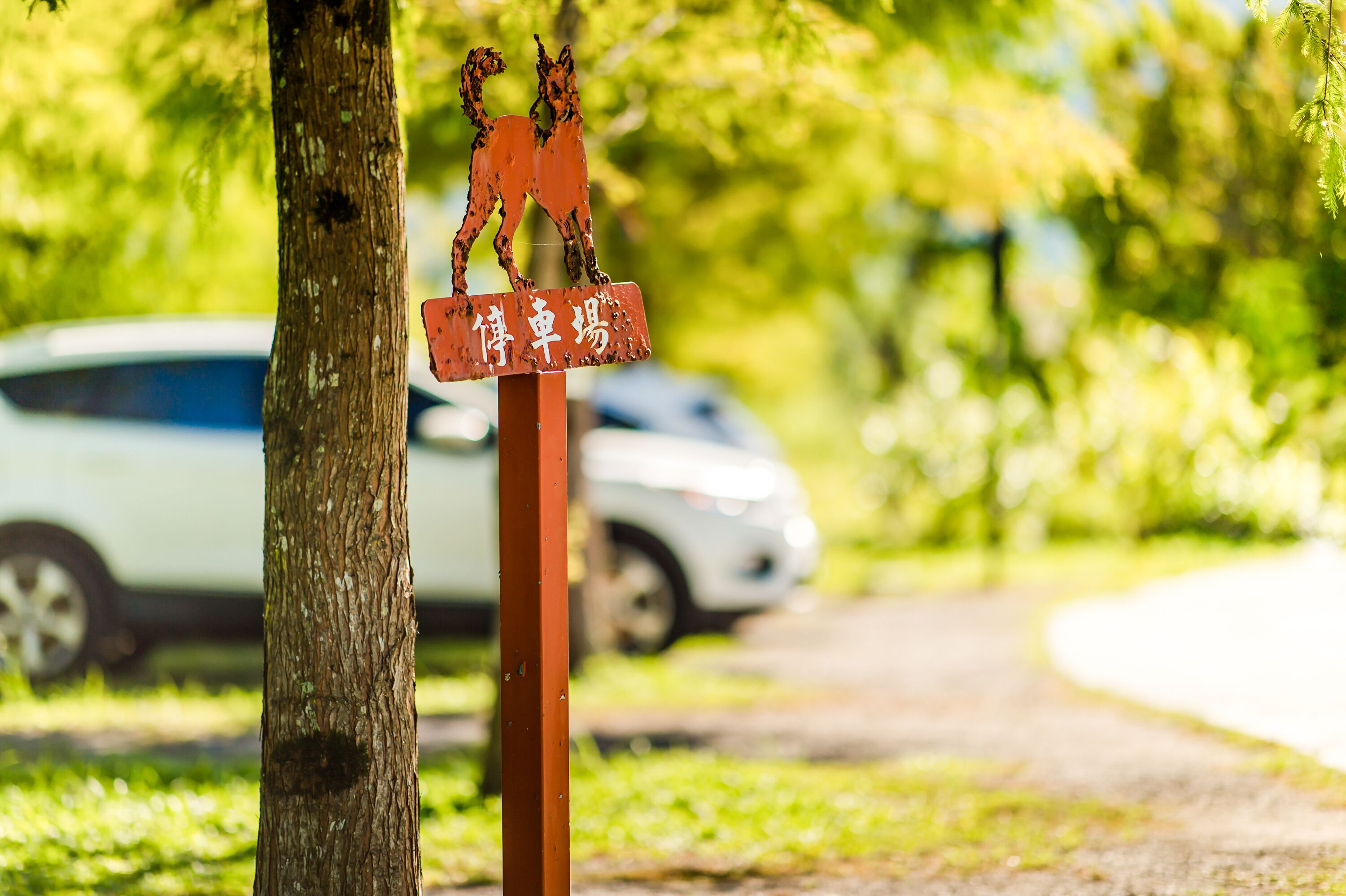 A signpost with Chinese characters, a tree trunk, and a white car in the background.