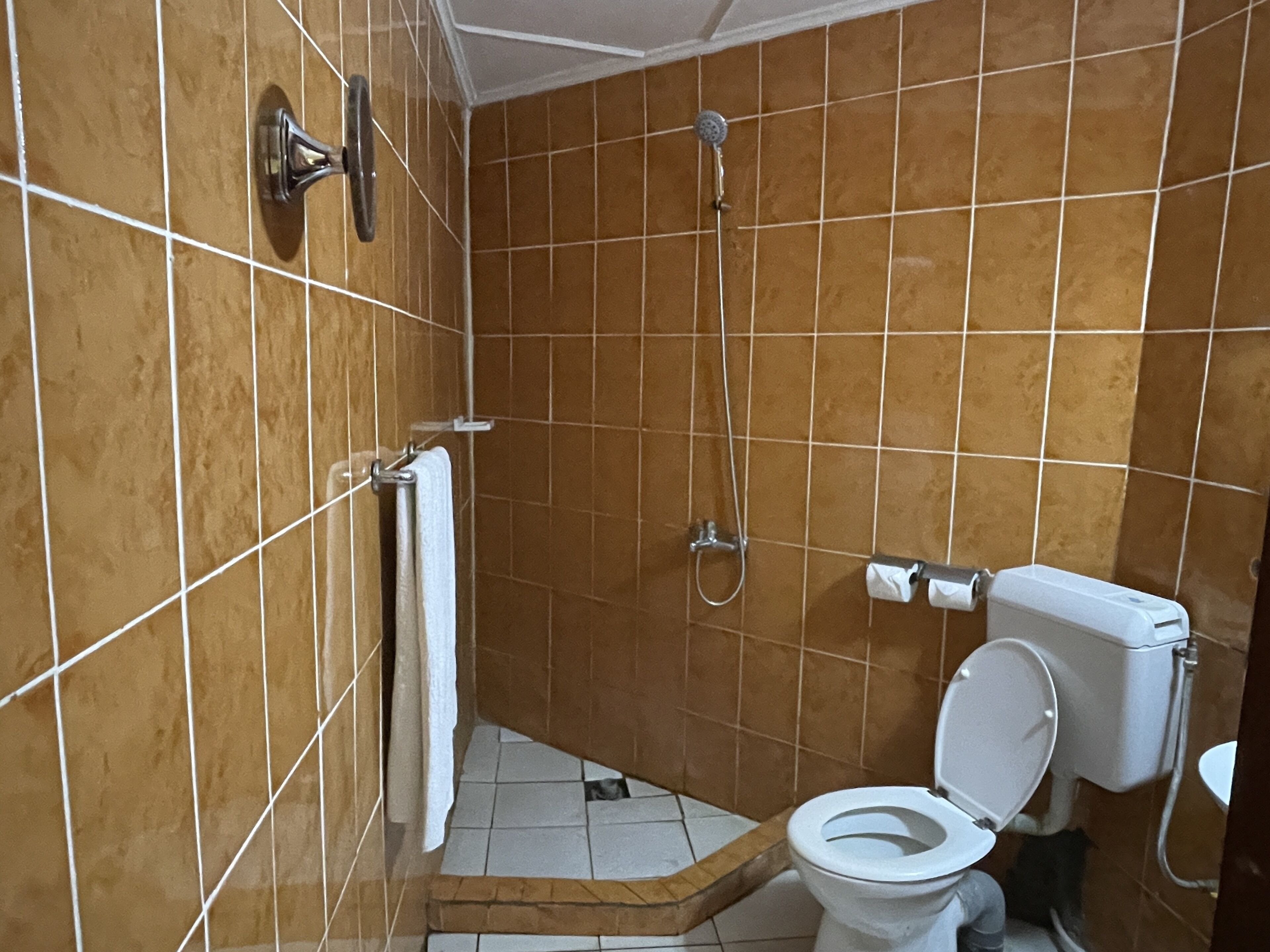 Un baño con ducha, inodoro y un perchero para toallas.