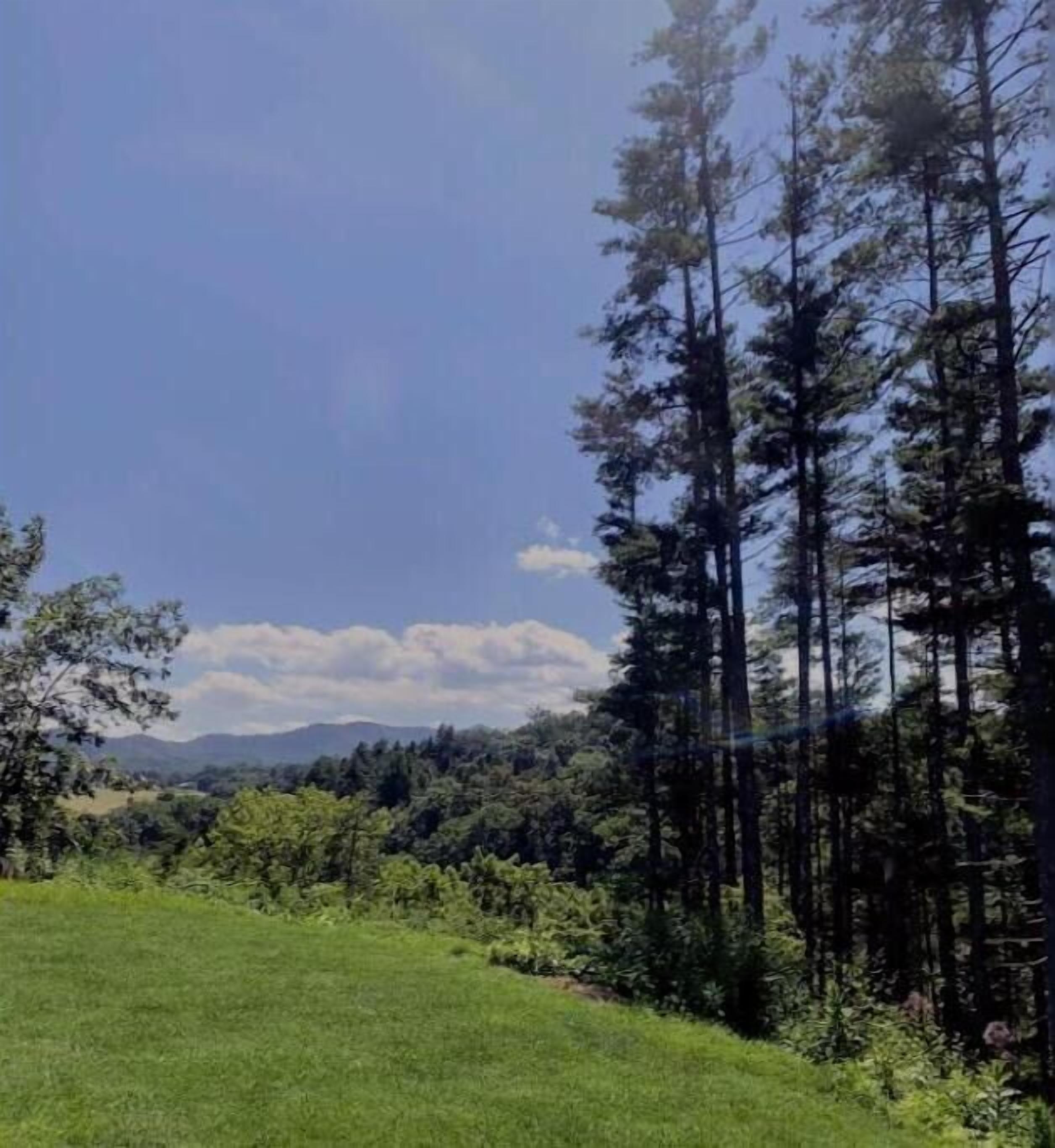 A grassy field with tall trees and a mountain range in the distance.