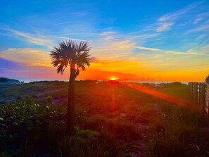 A sunset over a beach with a palm tree and a fence in the foreground.
