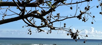 Here B&B - Kenting B Hostel