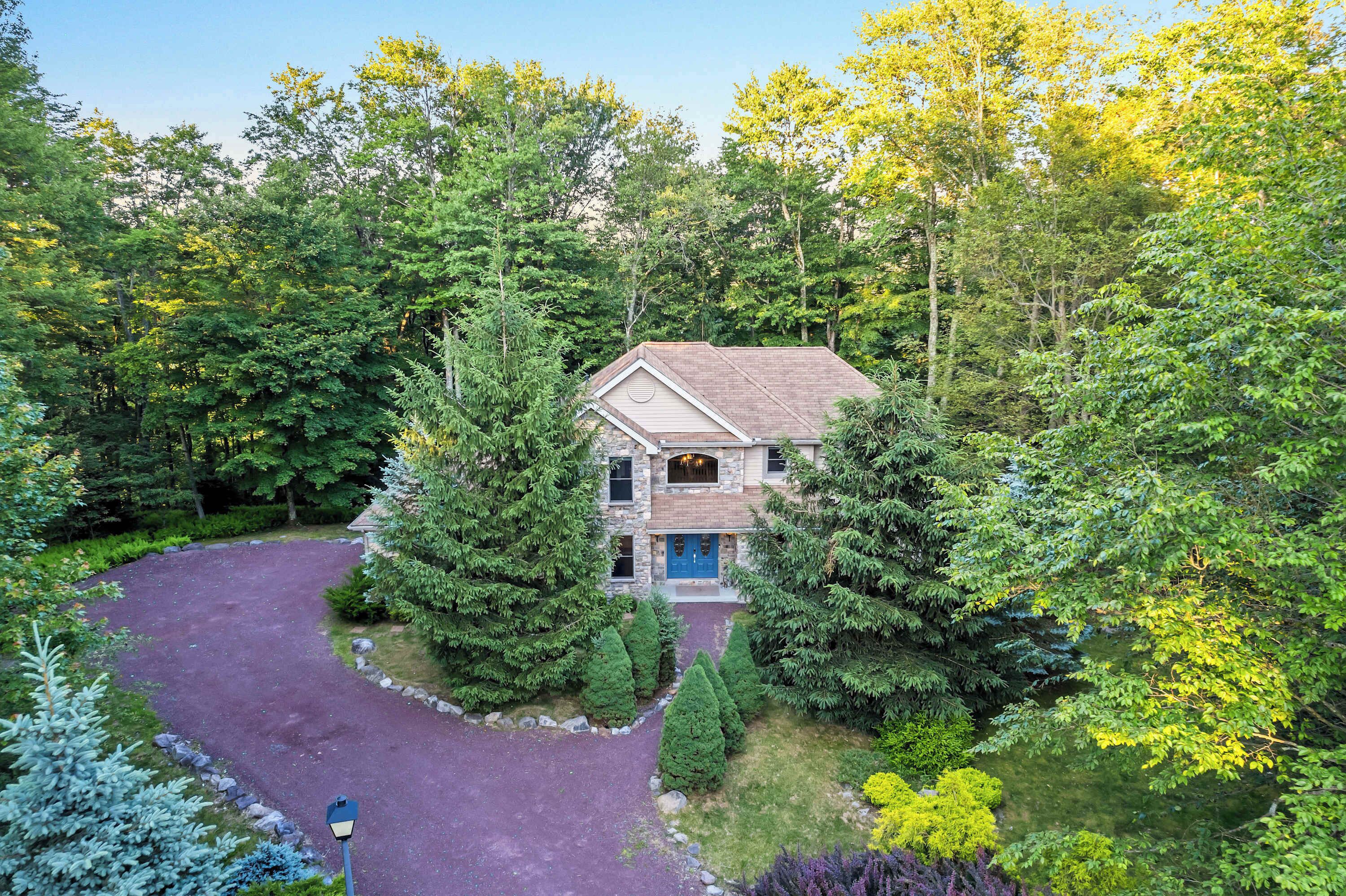 Une maison entourée d’une forêt dense, avec une allée menant à la porte d’entrée.