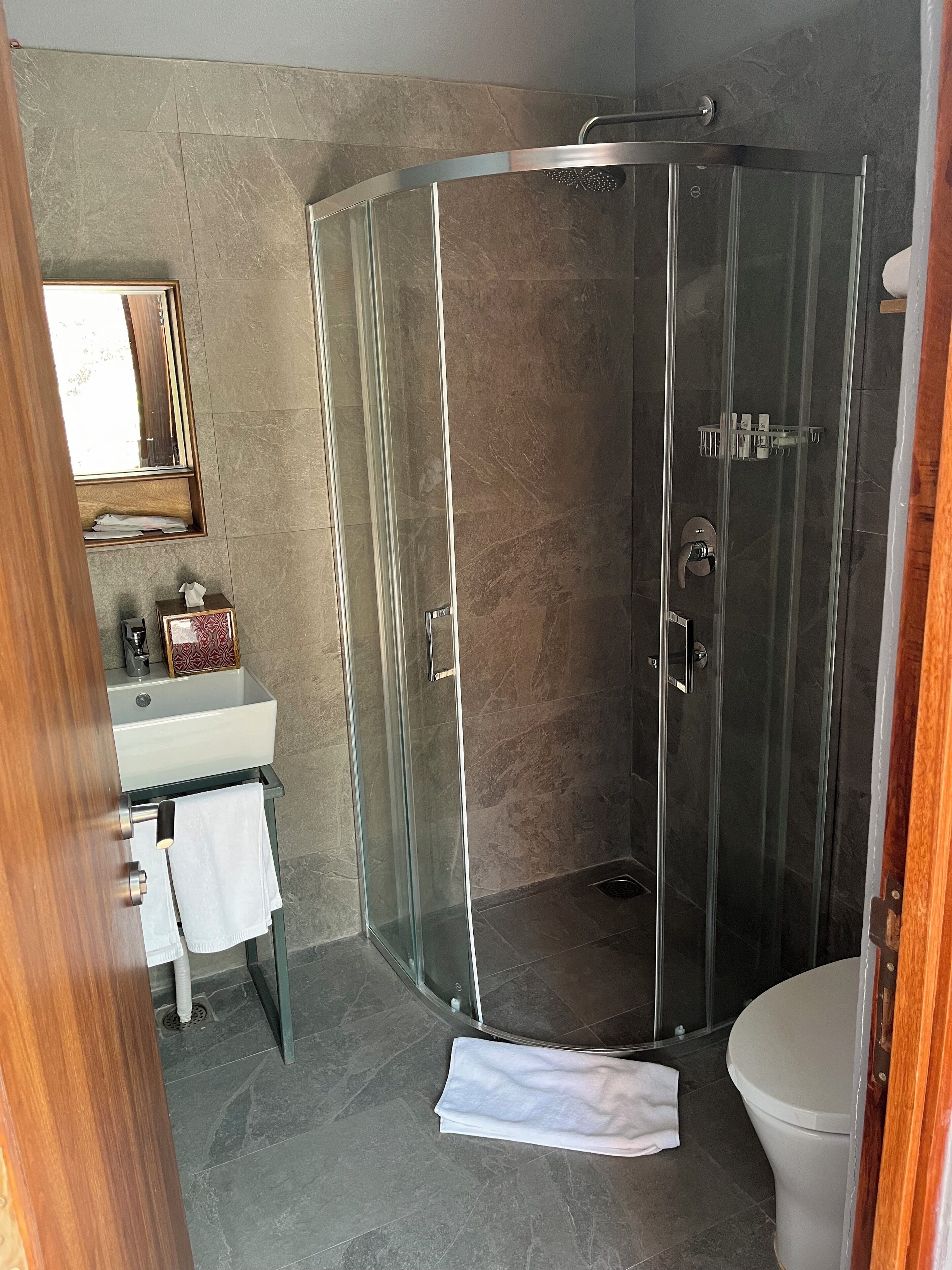 A modern bathroom with a glass-enclosed shower, a sink with a mirror, and a toilet.